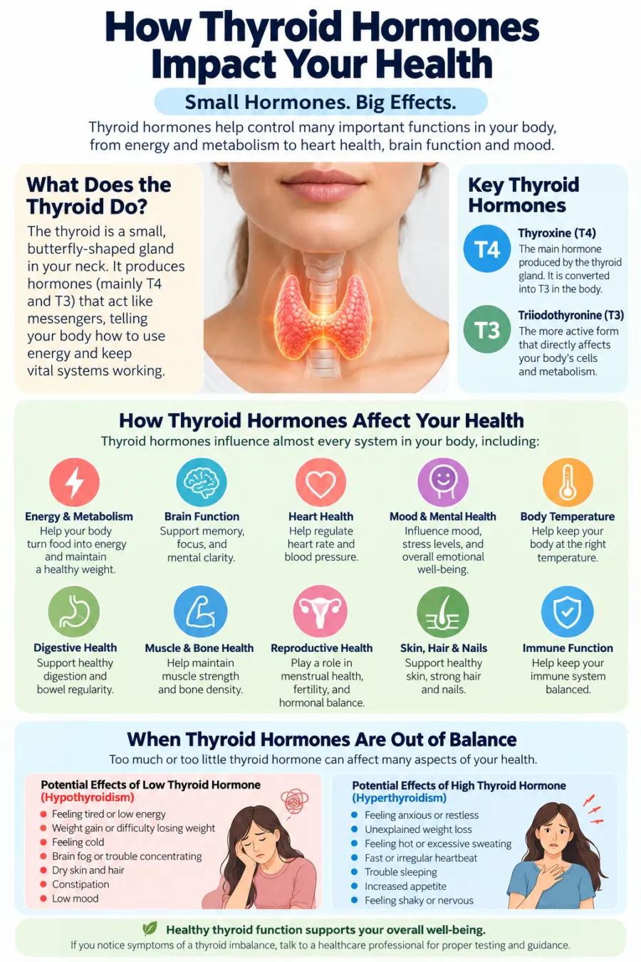 Infographic explaining thyroid hormones T4 and T3, their roles in energy, metabolism, brain and heart function, and common signs of thyroid hormone imbalance.